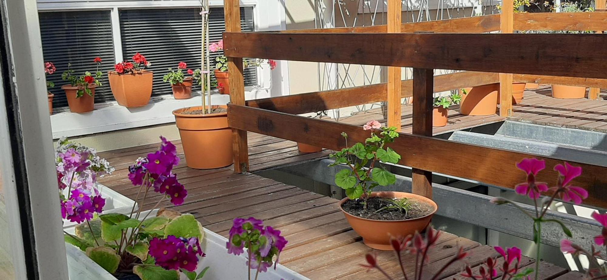 Ferienwohnung San Francisco Mar del Plata Exterior foto